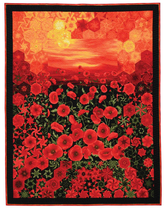 One-Block Wonder Panel Quilts: One-of-a-Kind Hexagon Blocks / 459849