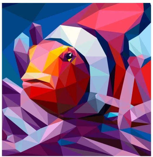 Legit Kits Legit Clownfish Pattern | Special Order