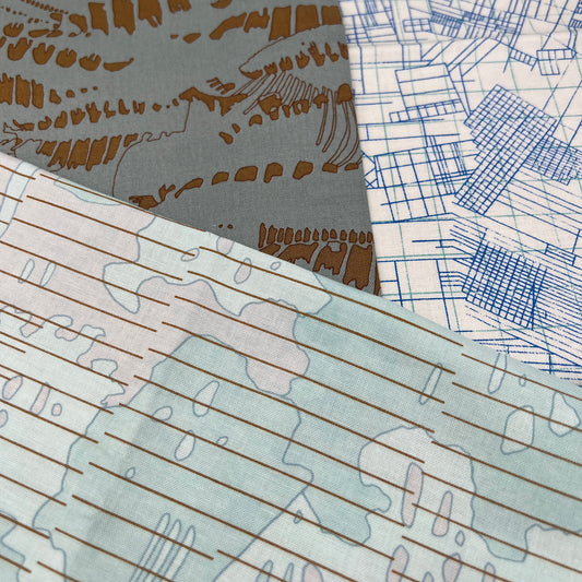 3 Piece - Fat Quarter Bundle / Carolyn Friedlander