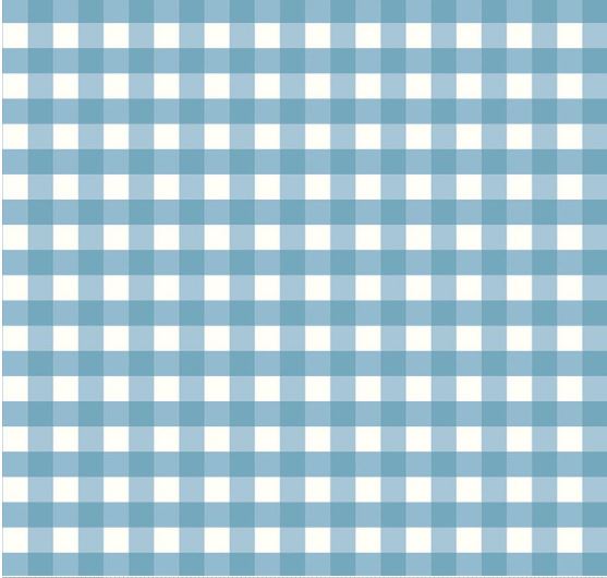Love You to the Moon Gingham Blue Flannel  - Riley Blake Designs