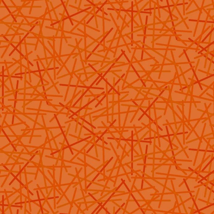 MixMasters Mashup Carrot Fat Quarter by Patrick Lose Fabrics 10007-59