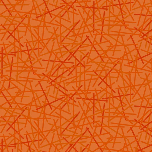 MixMasters Mashup Carrot Fat Quarter by Patrick Lose Fabrics 10007-59