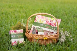 My Mother's Daughter - 16 Fat Quarter Bundle - Bari J. for Art Gallery Fabrics