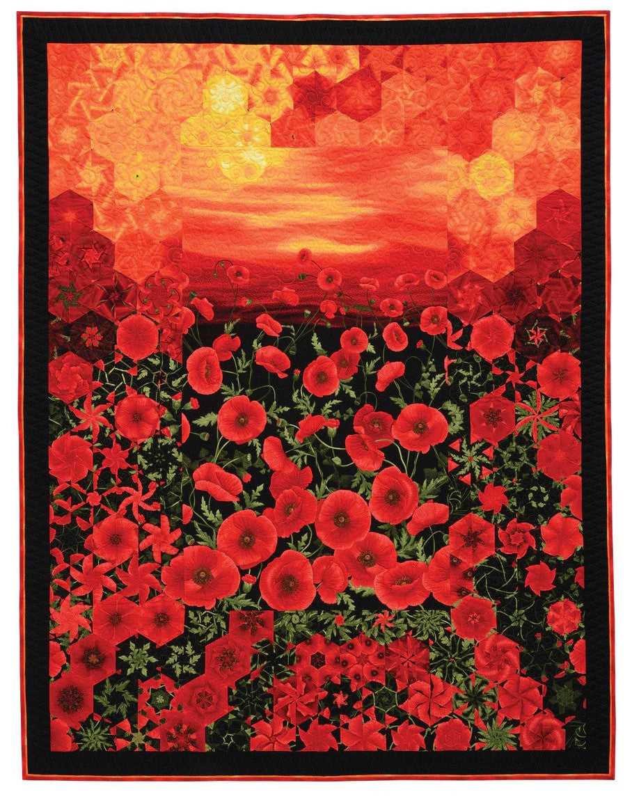 One-Block Wonder Panel Quilts: One-of-a-Kind Hexagon Blocks / 459849