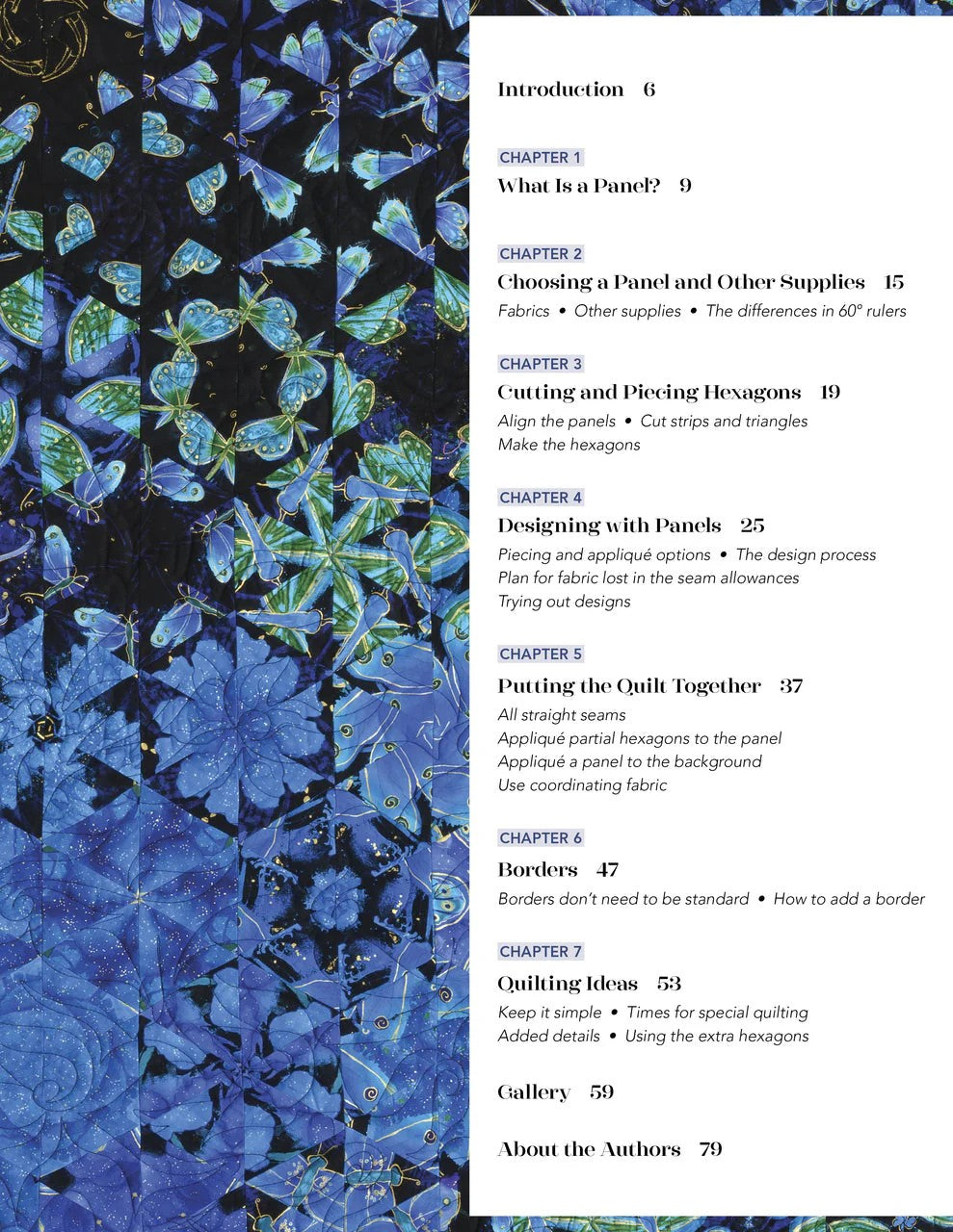 One-Block Wonder Panel Quilts: One-of-a-Kind Hexagon Blocks / 459849