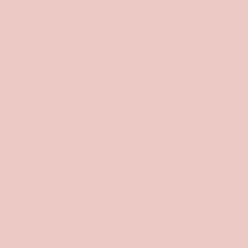 Cotton Candy - PE-487 / Art Gallery Fabrics Pure Solids – 100% Premium Cotton