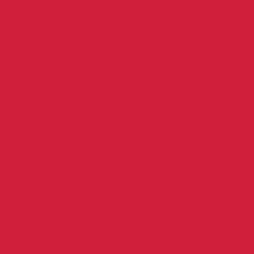 Undeniable Red - PE-537 / Art Gallery Fabrics Pure Solids – 100% Premium Cotton