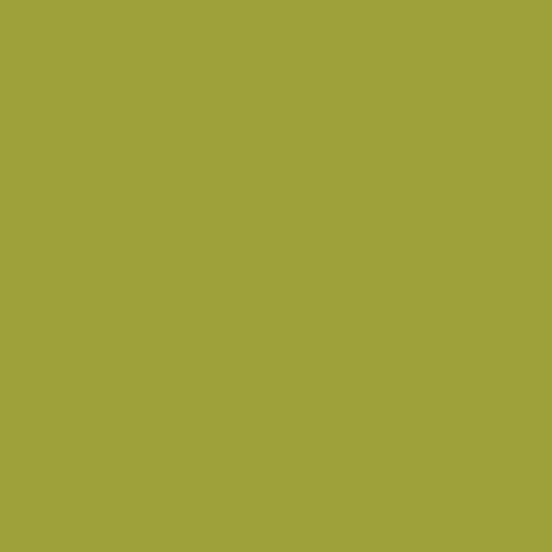 Art Gallery Fabrics PURE Solids - Full Bolt Special Order 💚 Gorgeous Greens Collection