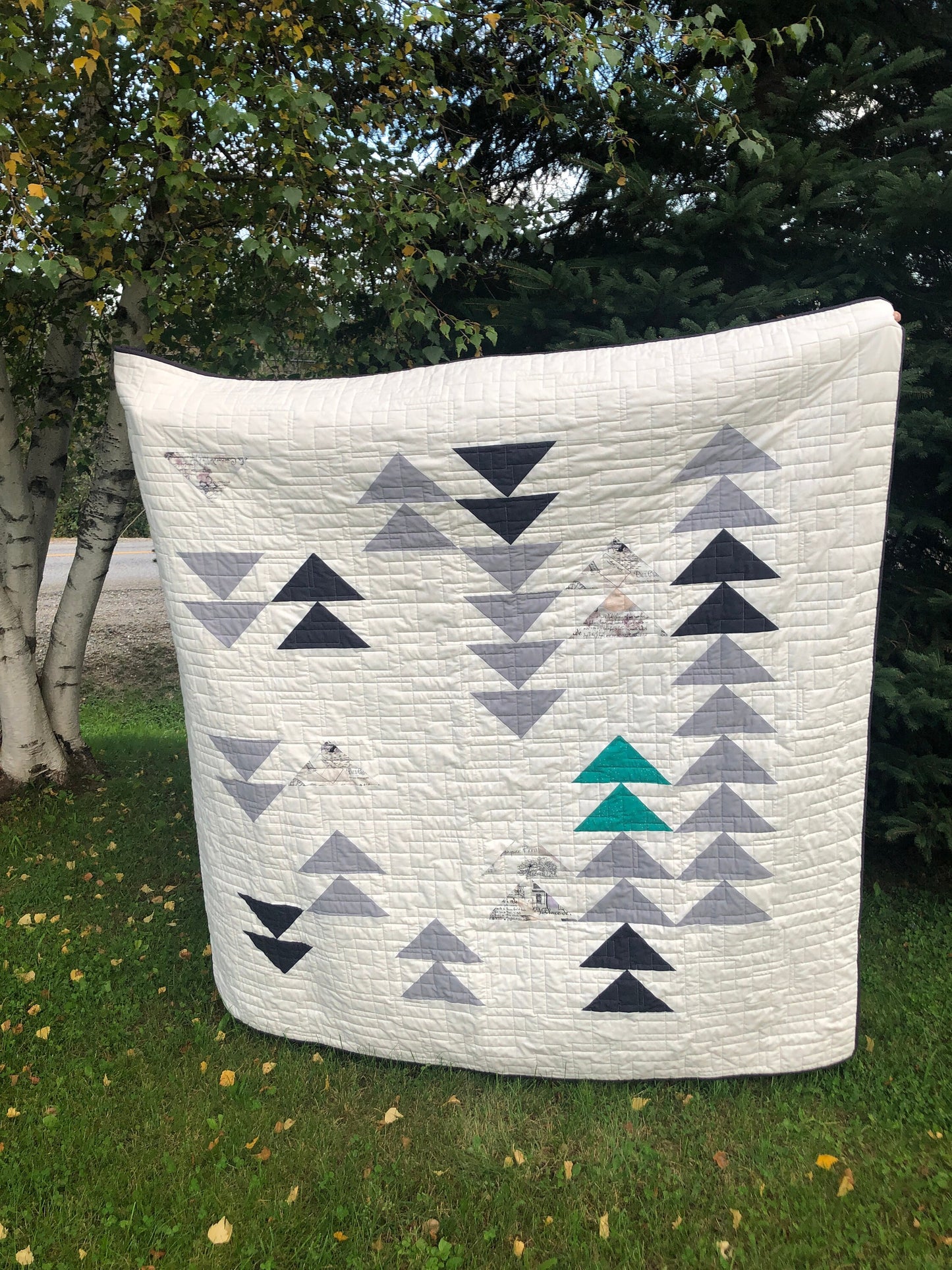 Quilt Kit & Pattern - Soaring High - Lap Size