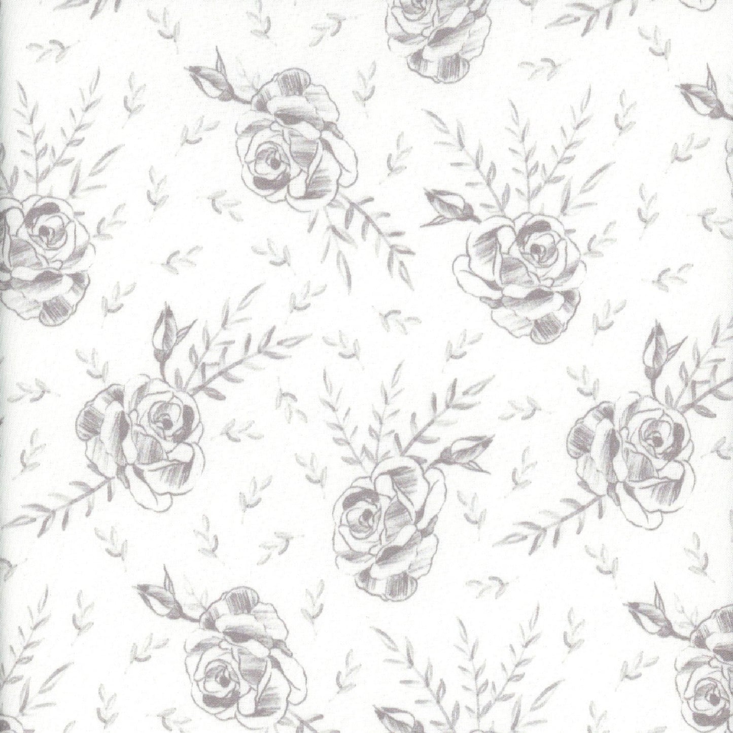 Dear Stella Fabrics Quiet Riot by Pammie Jane White Rosa  STELLA-DPJ3091