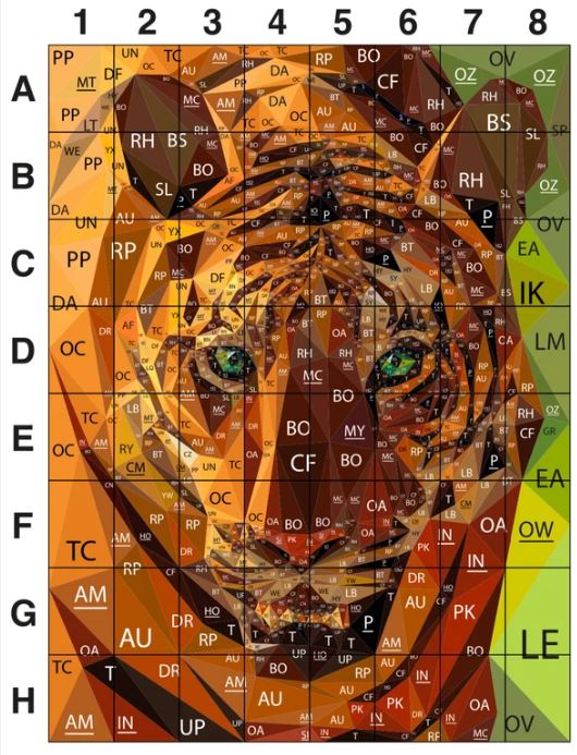 Legit Kits Legit Tiger Pattern | Special Order